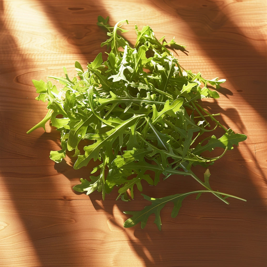 Baby Arugula